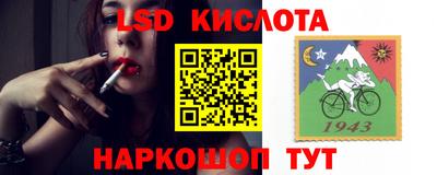 PSILOCYBIN Сланцы