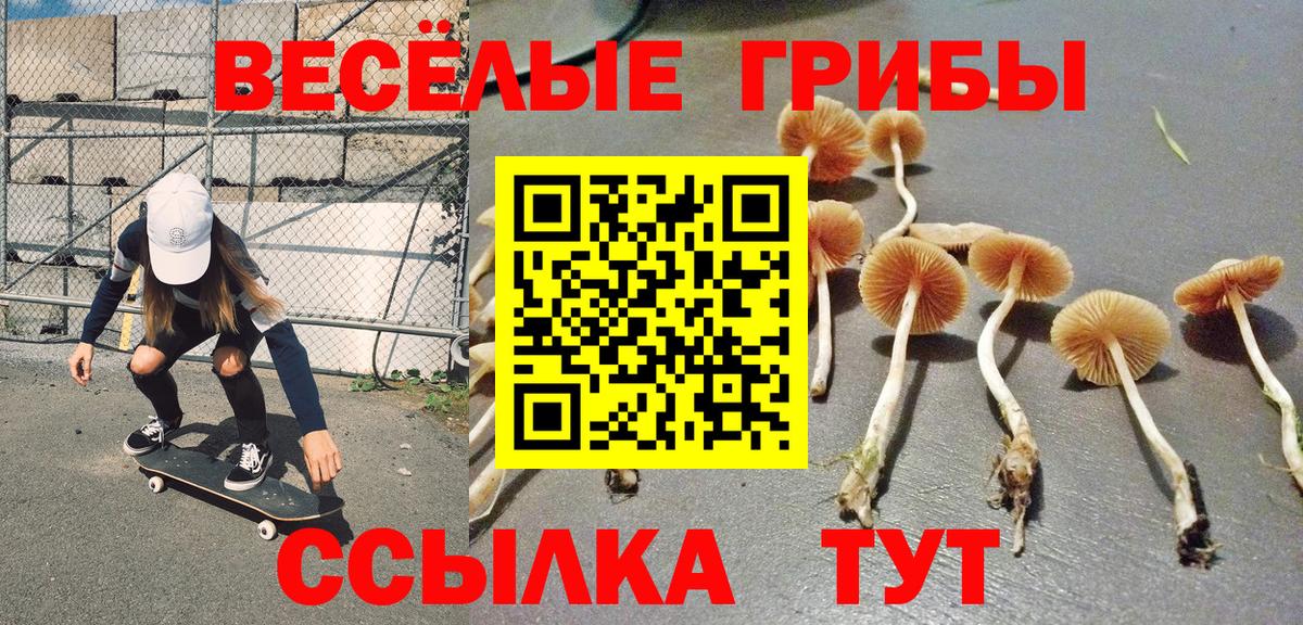 Галлюциногенные грибы MAGIC MUSHROOMS Похвистнево