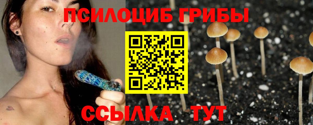 Псилоцибиновые грибы Magic Shrooms  Вход с VPN  Похвистнево  продажа наркотиков  Галлюциногенные грибы Magic Shrooms 